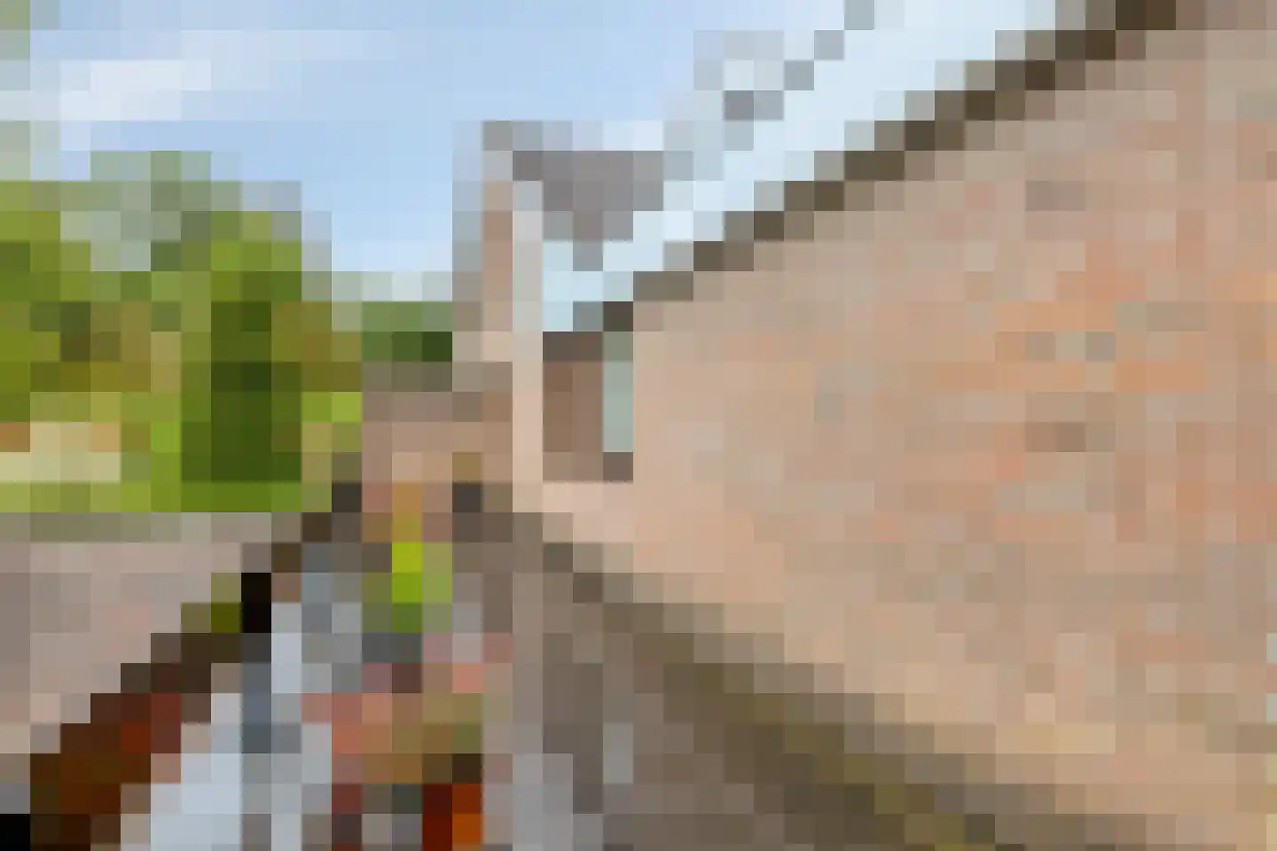 De Boskant 1 Leersum thumbnail 8
