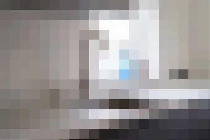 De Boskrâne 2 Stiens thumbnail 11