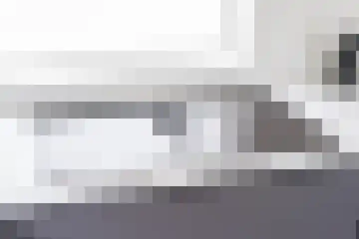 De Boskrâne 2 Stiens thumbnail 12