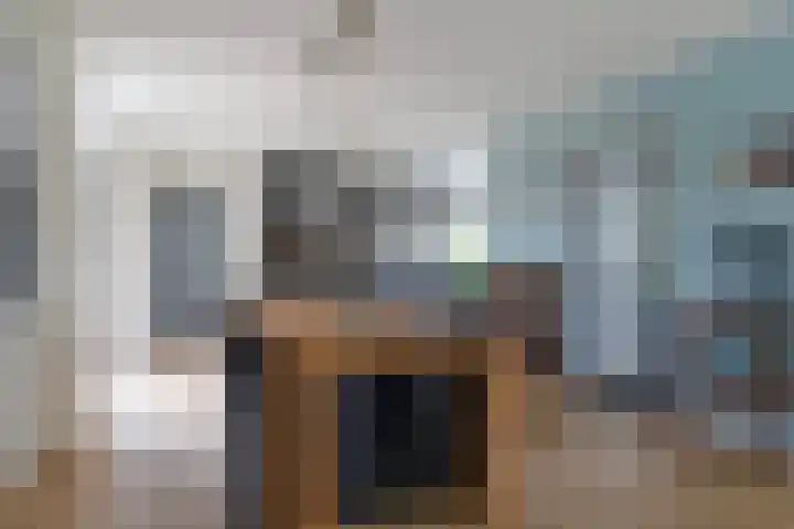 De Boskrâne 2 Stiens thumbnail 13