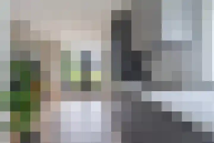 De Boskrâne 2 Stiens thumbnail 14