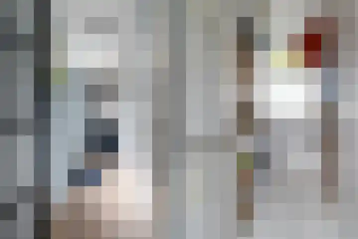 De Boskrâne 2 Stiens thumbnail 15