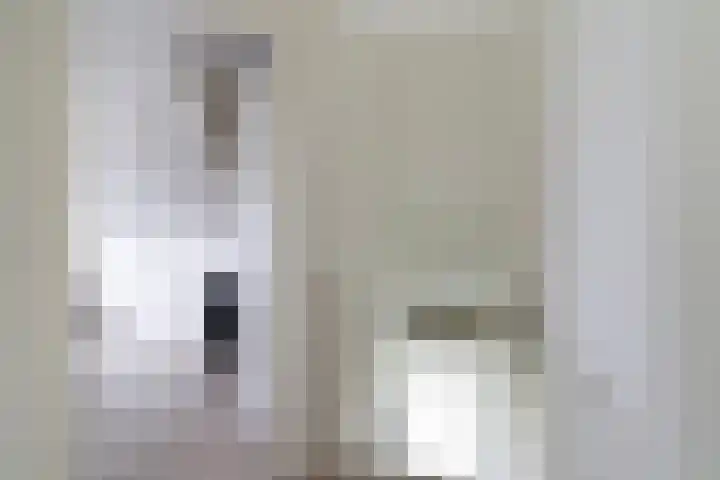 De Boskrâne 2 Stiens thumbnail 17