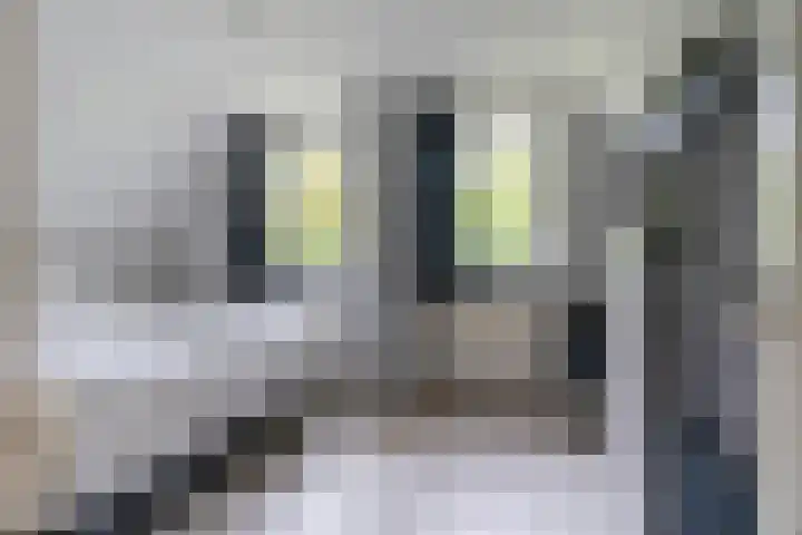 De Boskrâne 2 Stiens thumbnail 18