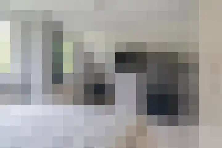 De Boskrâne 2 Stiens thumbnail 19