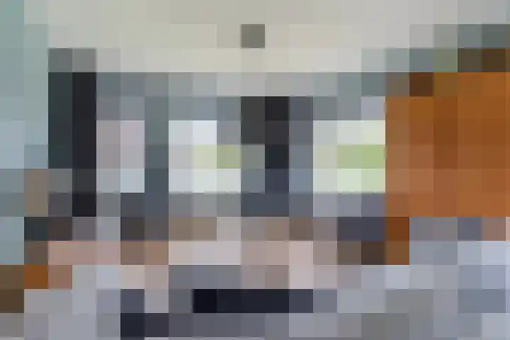 De Boskrâne 2 Stiens foto 2