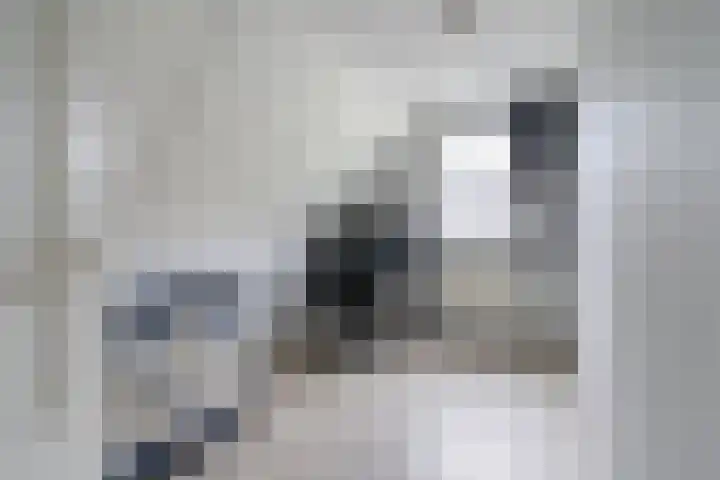 De Boskrâne 2 Stiens thumbnail 20