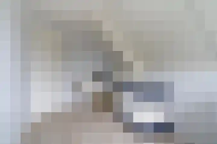 De Boskrâne 2 Stiens thumbnail 21