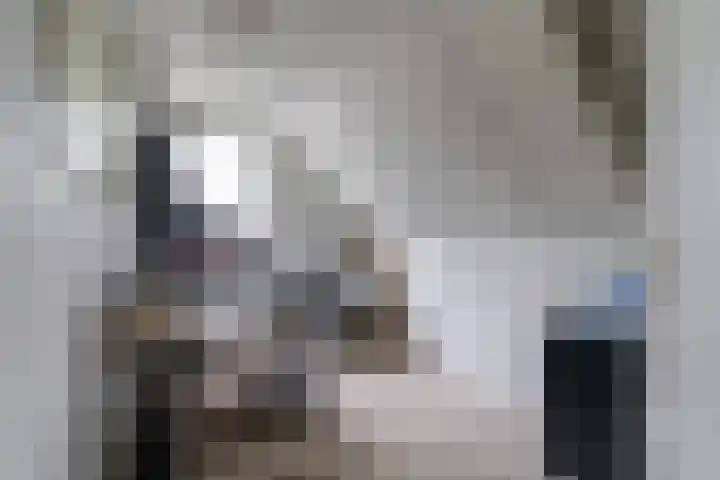 De Boskrâne 2 Stiens thumbnail 22