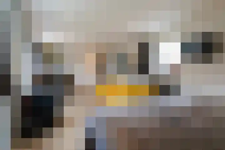 De Boskrâne 2 Stiens thumbnail 25