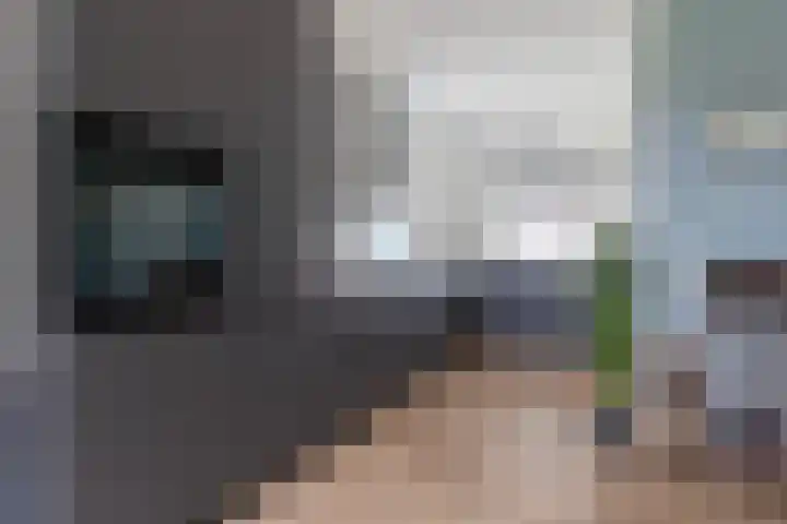 De Boskrâne 2 Stiens foto 3
