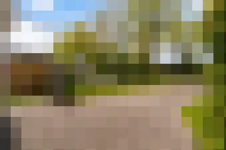 De Boskrâne 2 Stiens thumbnail 30