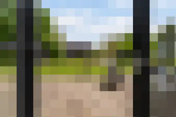 De Boskrâne 2 Stiens thumbnail 31