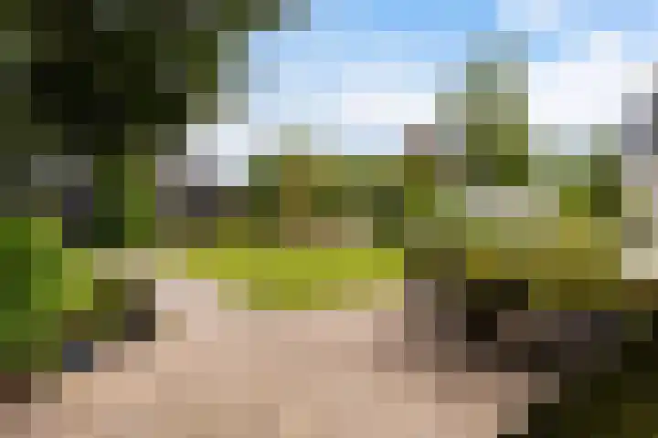 De Boskrâne 2 Stiens thumbnail 33