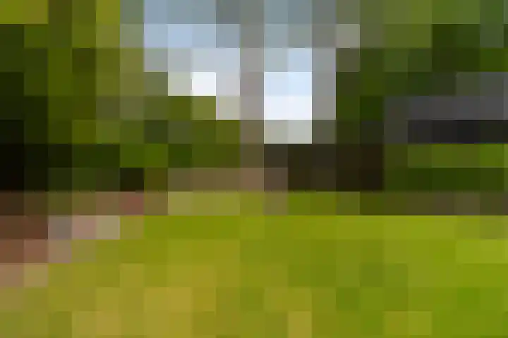 De Boskrâne 2 Stiens thumbnail 34