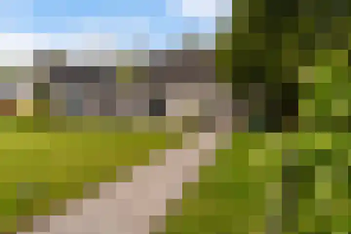 De Boskrâne 2 Stiens thumbnail 36