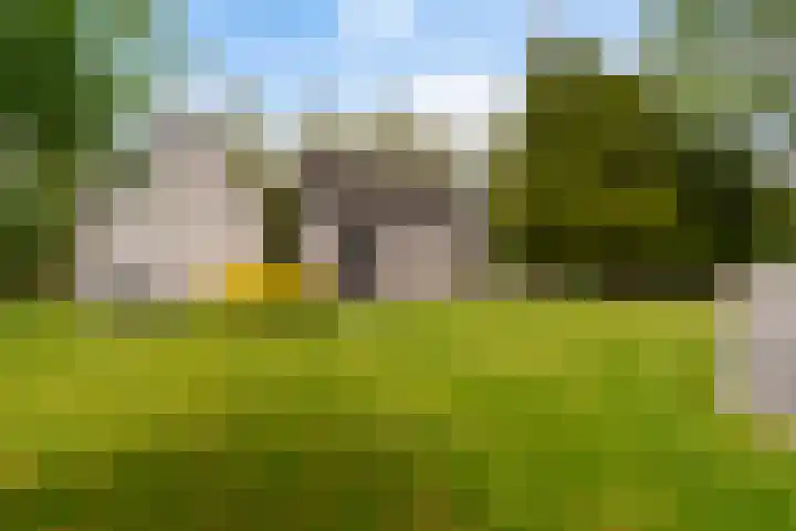 De Boskrâne 2 Stiens thumbnail 37