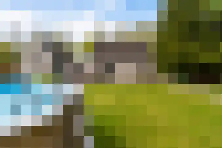 De Boskrâne 2 Stiens thumbnail 38