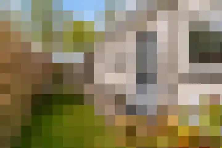De Boskrâne 2 Stiens thumbnail 40