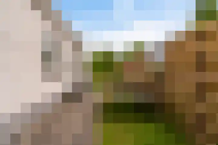 De Boskrâne 2 Stiens thumbnail 41