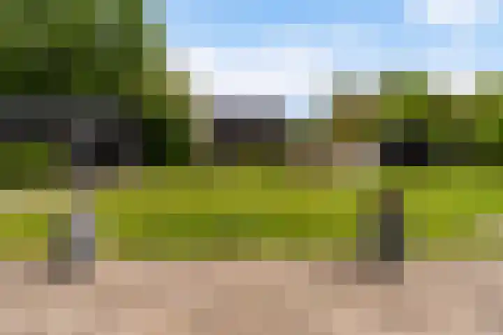 De Boskrâne 2 Stiens thumbnail 43