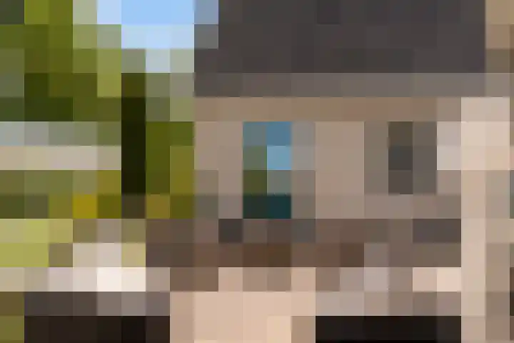 De Boskrâne 2 Stiens thumbnail 45