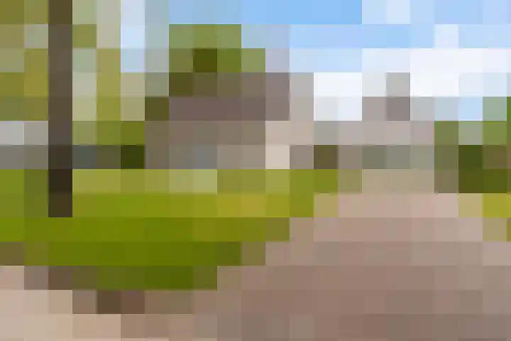De Boskrâne 2 Stiens thumbnail 48