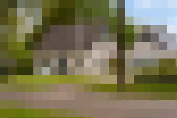 De Boskrâne 2 Stiens thumbnail 49