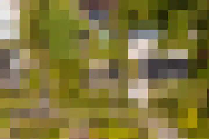 De Boskrâne 2 Stiens thumbnail 55