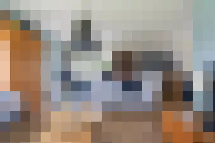 De Boskrâne 2 Stiens thumbnail 9