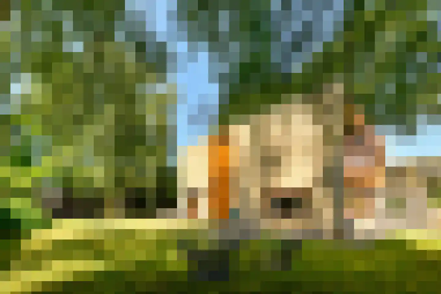 De Bosporus 26 Amstelveen thumbnail 23