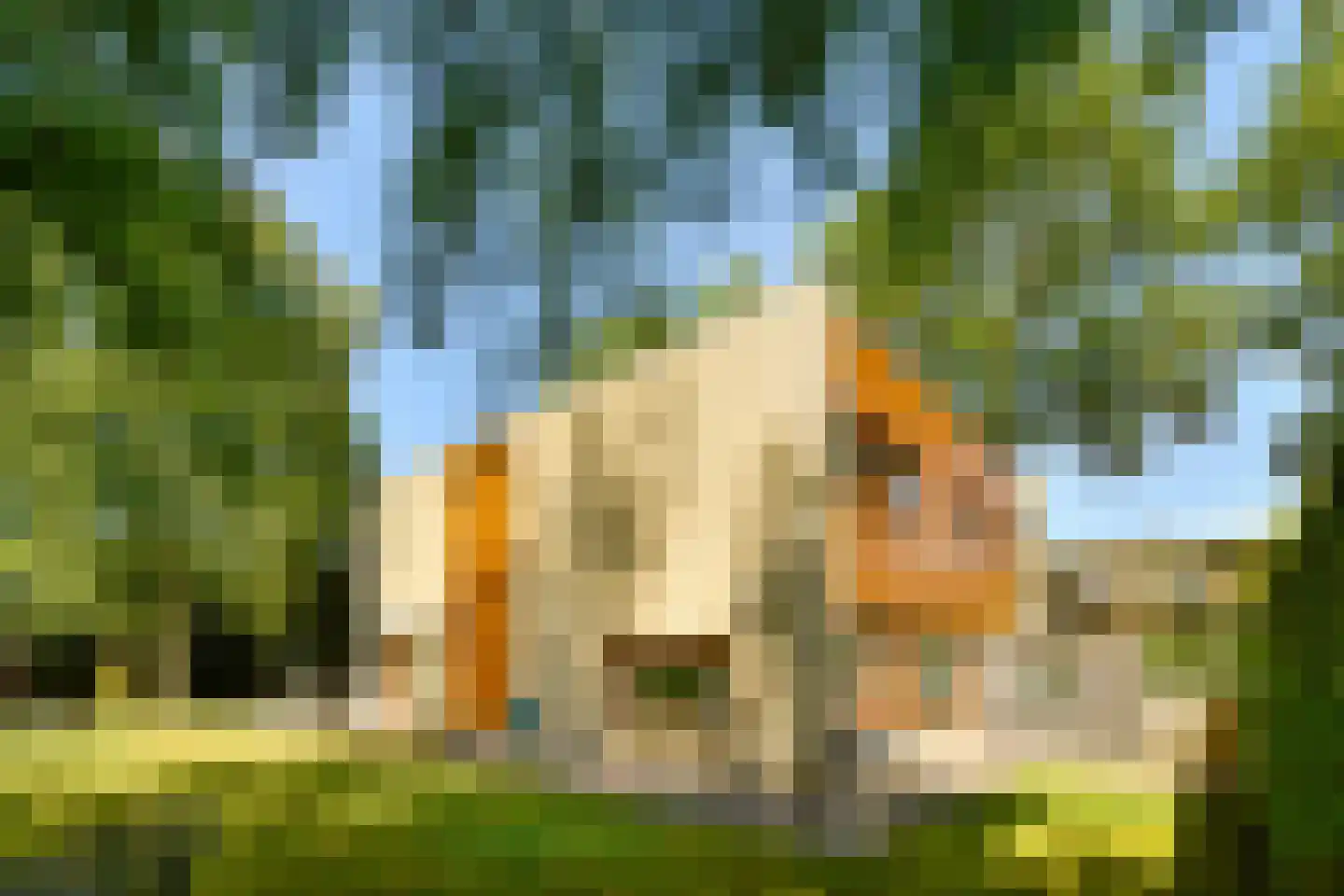 De Bosporus 26 Amstelveen thumbnail 25