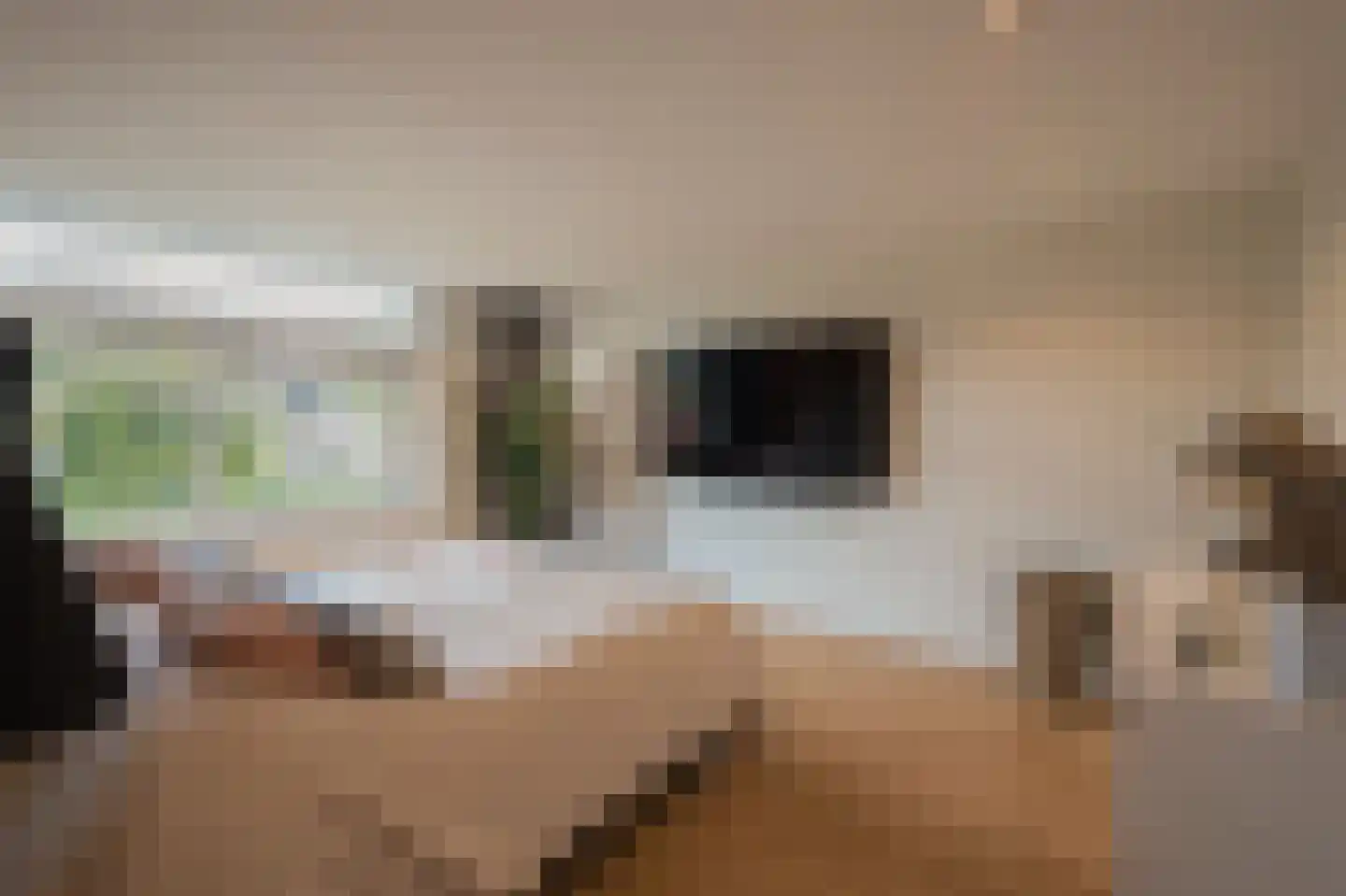 De Bosporus 69 Amstelveen thumbnail 16
