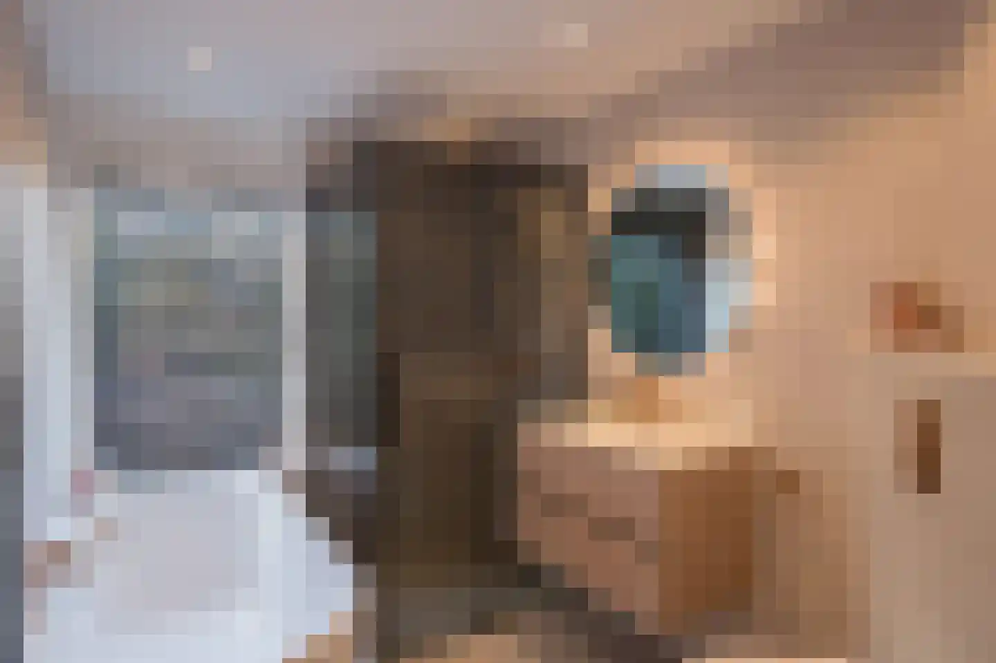 De Bosporus 69 Amstelveen thumbnail 24