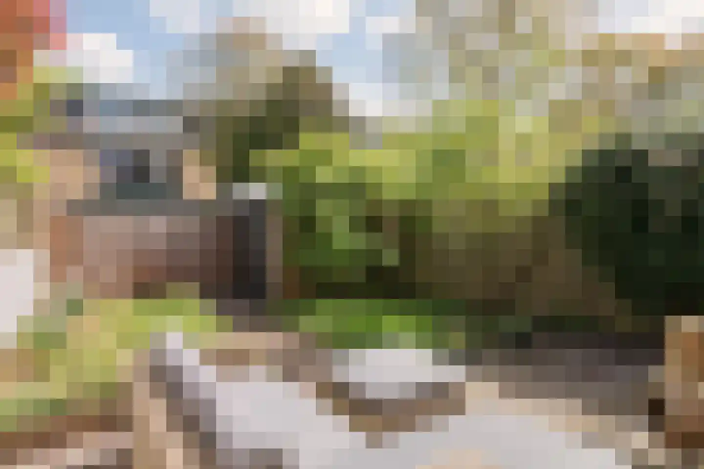 De Bosporus 69 Amstelveen thumbnail 34