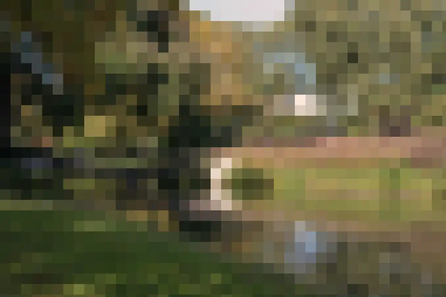 De Bosporus 69 Amstelveen thumbnail 39