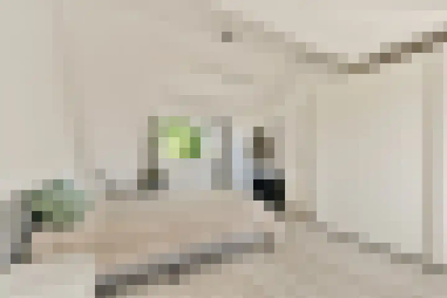 De Bosporus 75 Amstelveen thumbnail 22