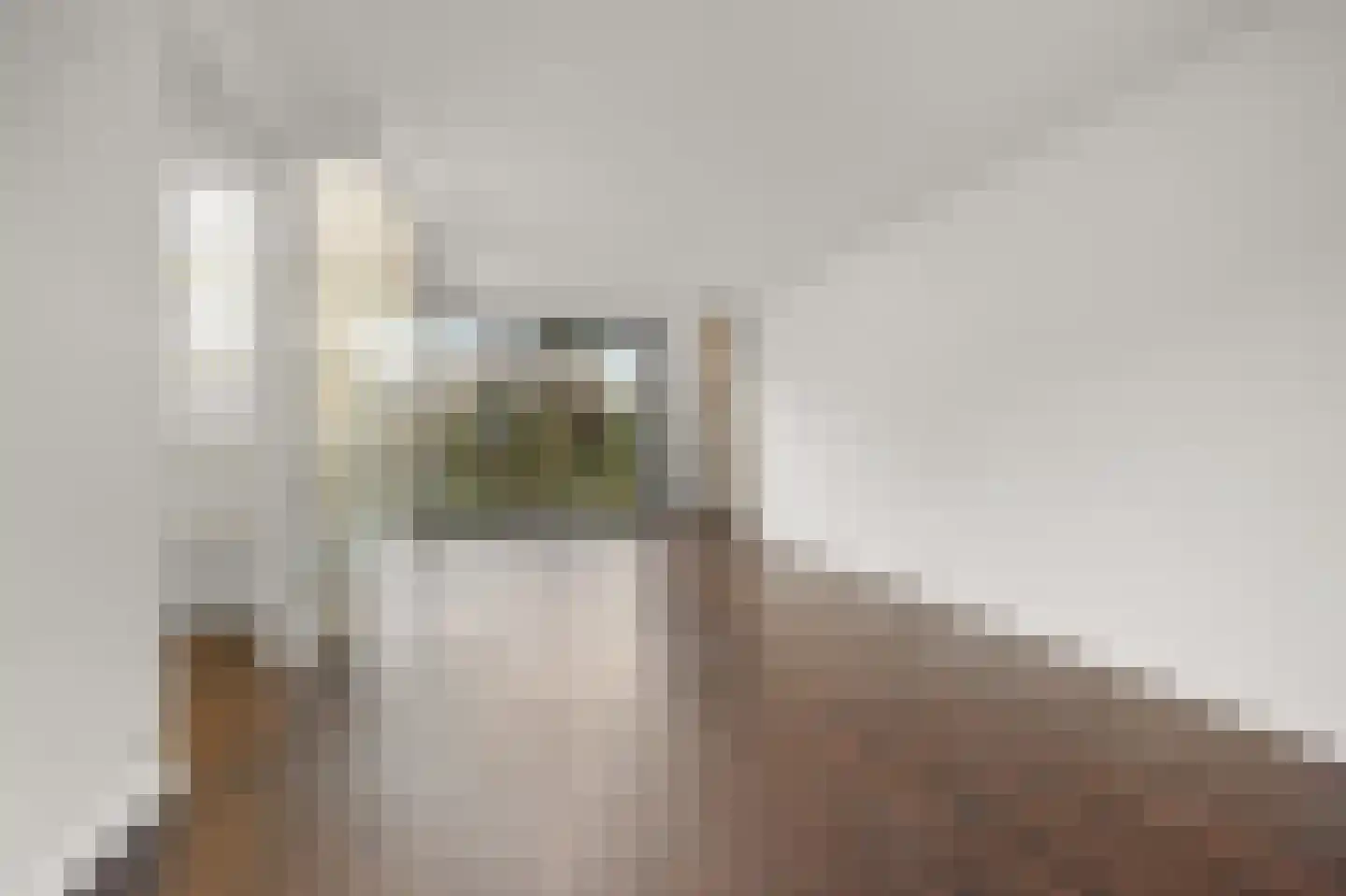 De Bosporus 9 Amstelveen thumbnail 7