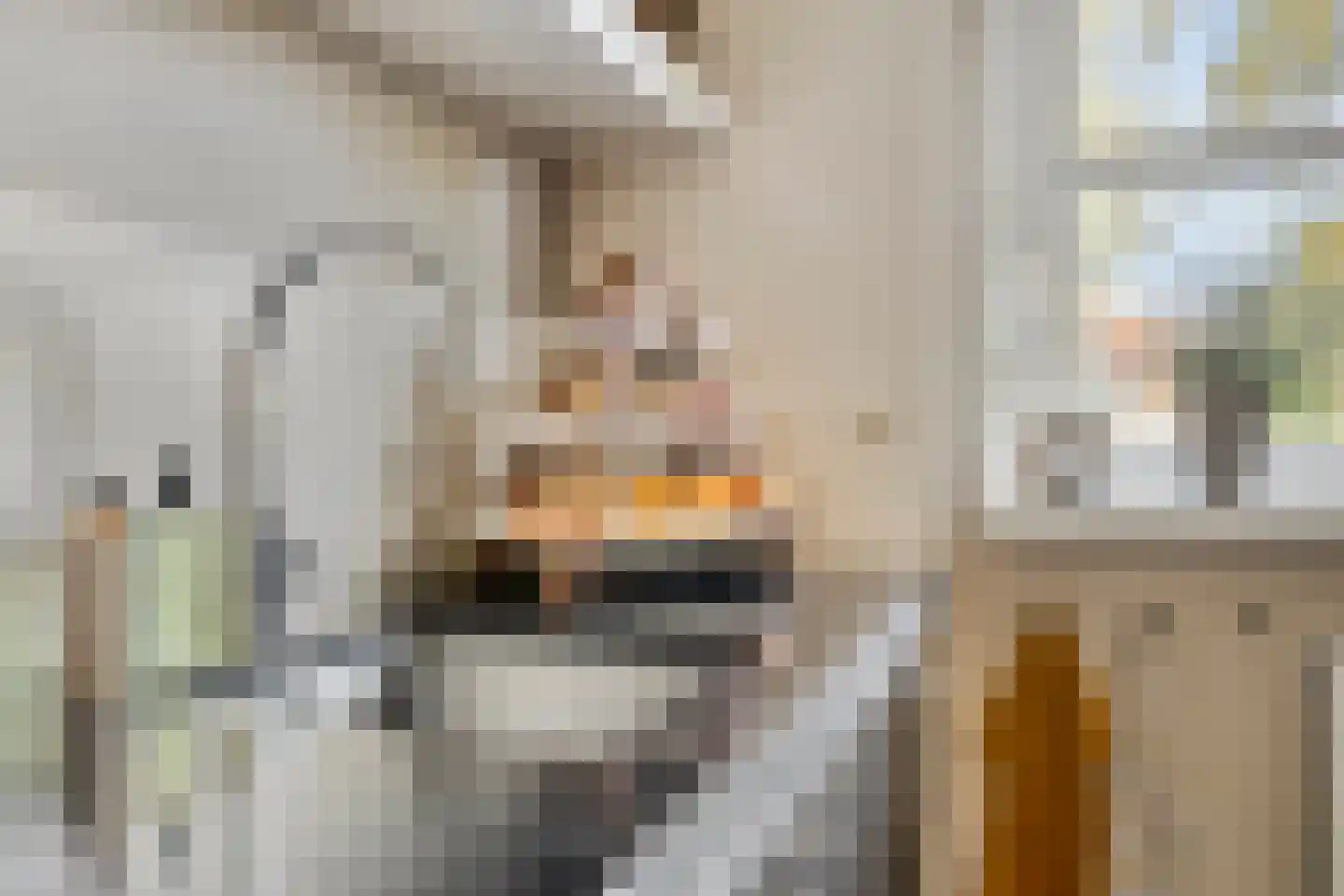 De Bosrand 36 Zutphen thumbnail 20
