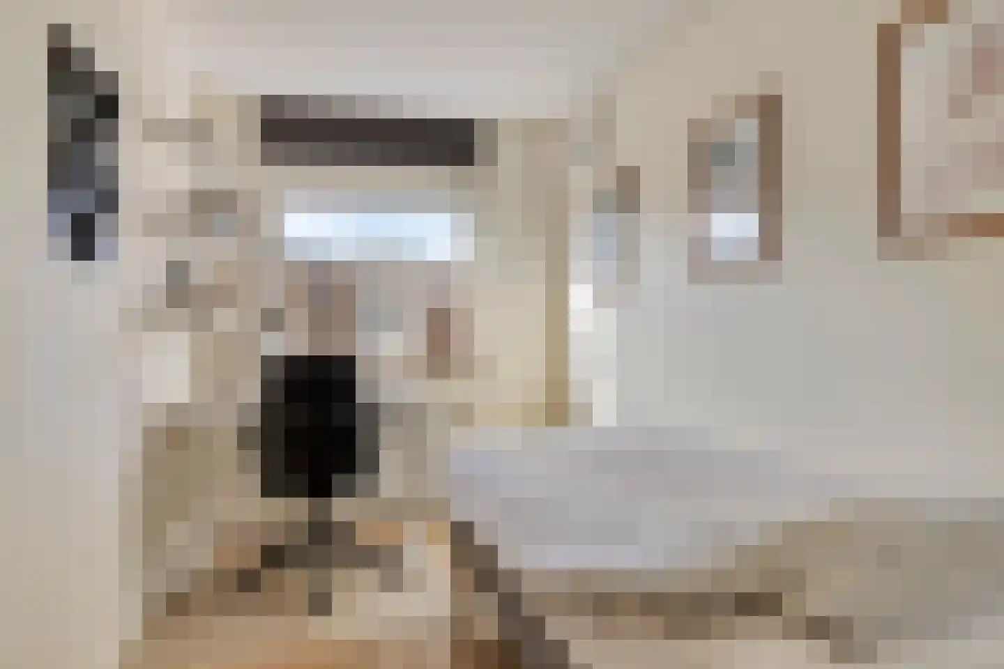 De Bosrand 36 Zutphen thumbnail 33