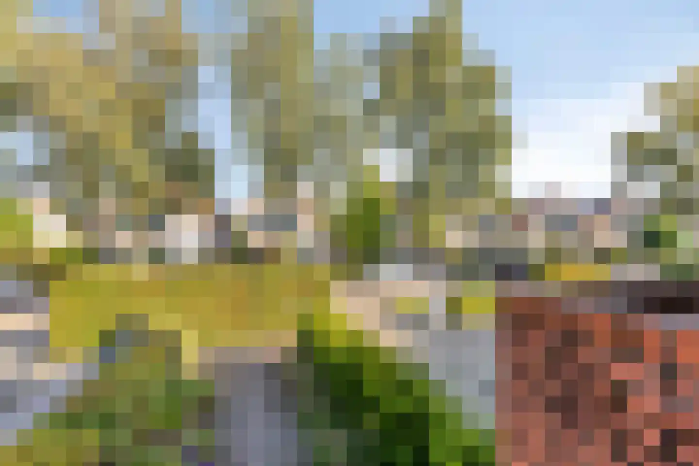 De Bosrand 36 Zutphen thumbnail 45