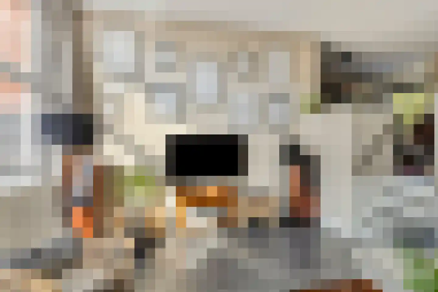 De Bosrand 36 Zutphen thumbnail 6