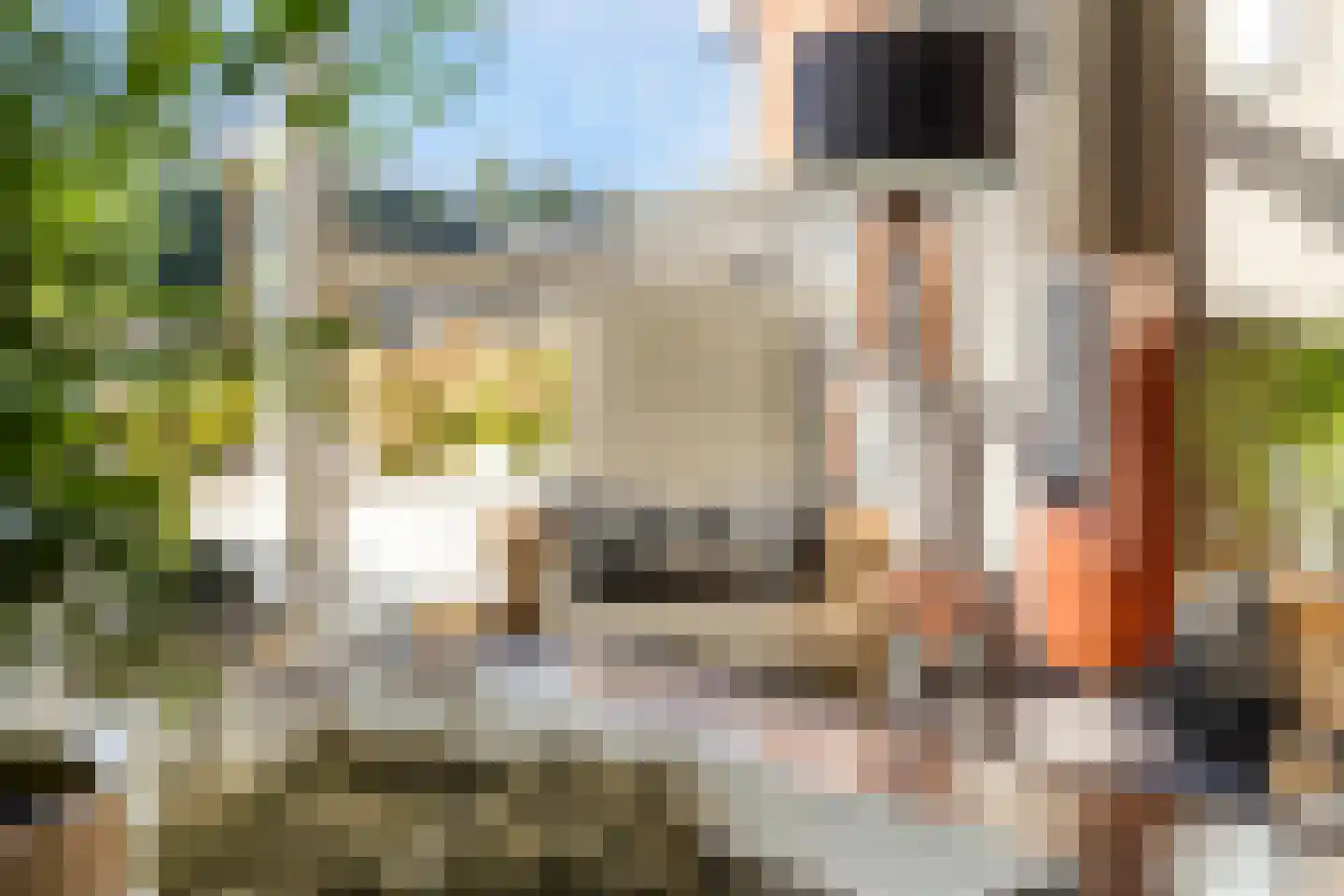 De Bosrand 36 Zutphen thumbnail 9