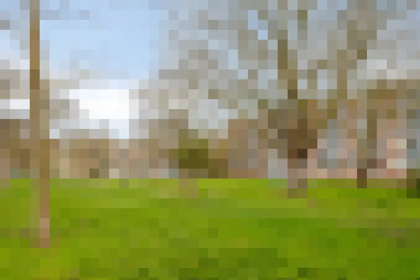 De Bossche Pad 55 's-Hertogenbosch thumbnail 20