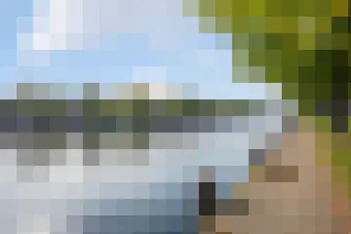 De Bossche Pad 63 's-Hertogenbosch thumbnail 8