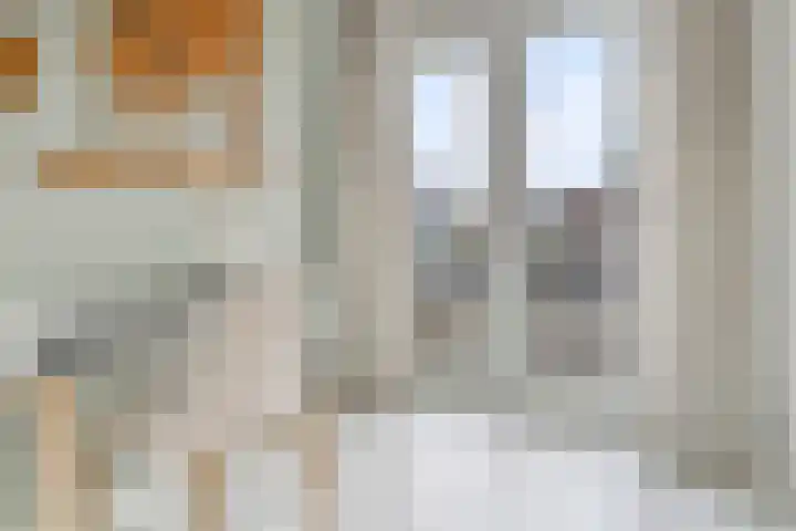 De Bossche Pad 69 's-Hertogenbosch thumbnail 18