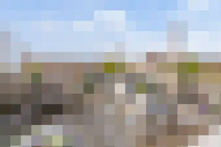 De Bossche Pad 69 's-Hertogenbosch thumbnail 32