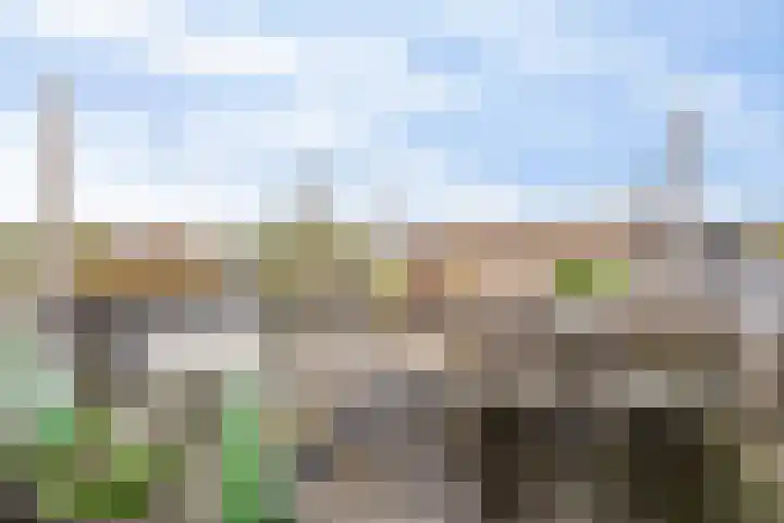 De Bossche Pad 69 's-Hertogenbosch thumbnail 33
