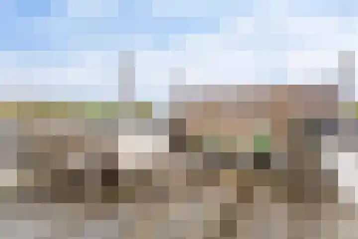 De Bossche Pad 69 's-Hertogenbosch thumbnail 34