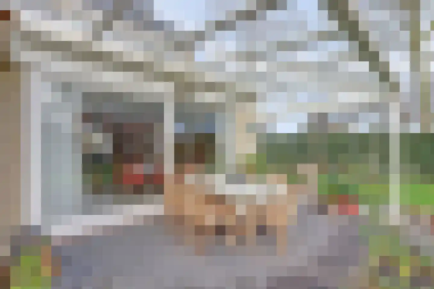 de Bossen 16 Raamsdonksveer thumbnail 39